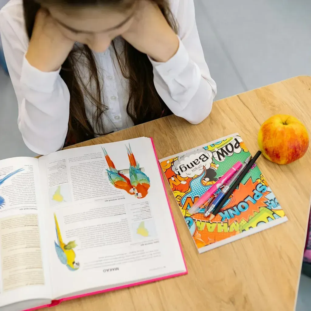 SF Education в 2026: курсы, цены и отзывы выпускников